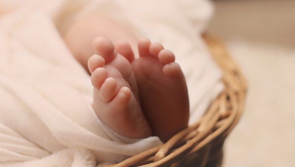 newborn, baby, feet-1399155.jpg